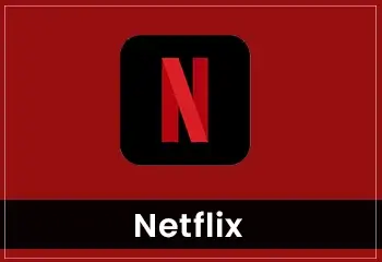 Netflix support